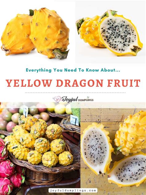 Yellow Dragon Fruit: Everything You Need To Know » Joyful Dumplings