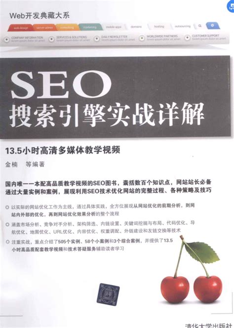 SEO实战密码第三版pdf下载：60天网站流量提高20倍(第3版)_SEO书籍