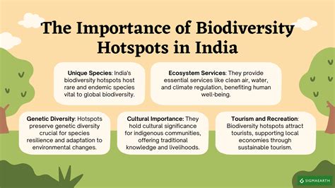 Biodiversity Hotspots In India: Key Areas And Conservation - Sigma Earth