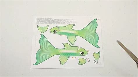 Image result for 3D Fish Craft