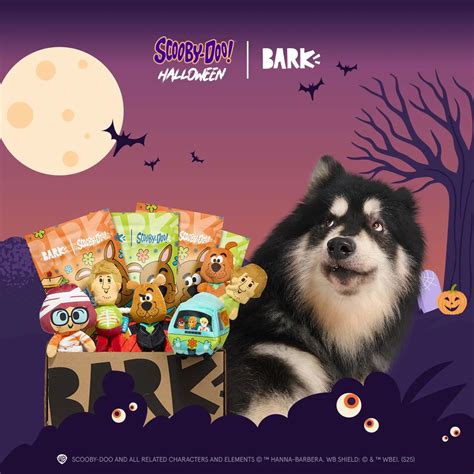BarkBox Coupon: Double Your First Box for FREE + Scooby Themed Box ...
