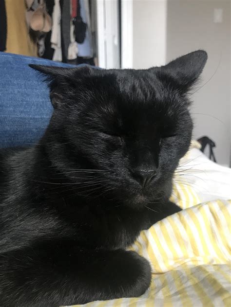 Image result for Really Bumpy Ride