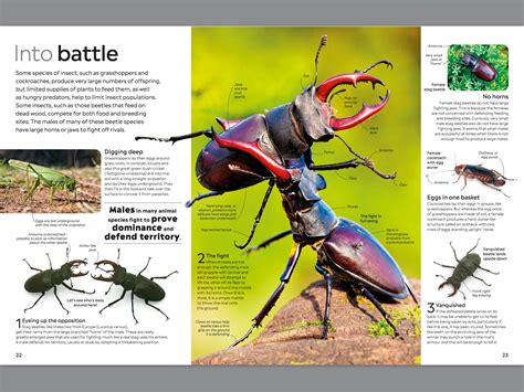 Image result for Insect Reproduction Books