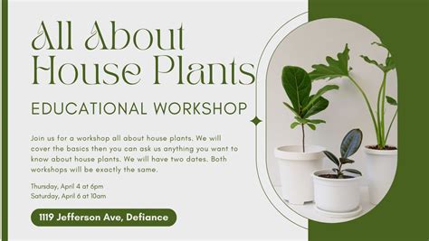 All About House Plants- Educational Workshop , 1119 Jefferson Ave ...