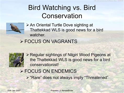 Threatened Birds & IBA Network of Kerala | PPT