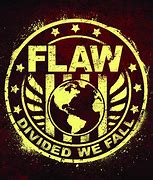 Image result for Flaw