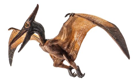 Dinosaurs Pteranodon