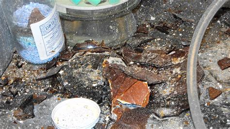 Image result for T2 Lab Explosion