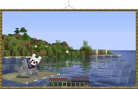 Image result for LabyMod Installation