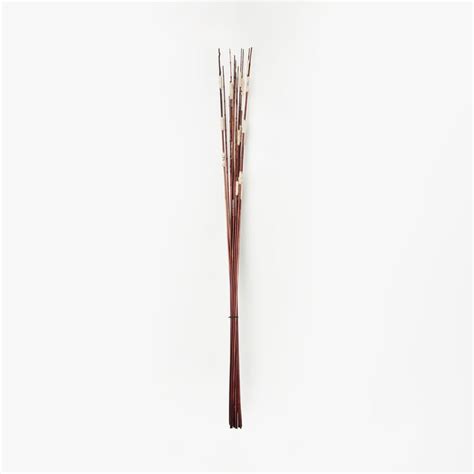 Buy Botanical Jute Rope Sticks - 140cm from Home Centre at just INR 449.0