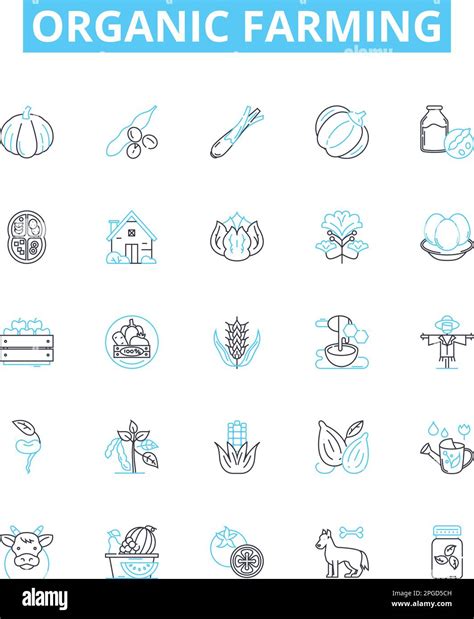 Organic Produce Sign 的图像结果