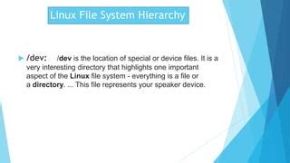 Image result for Linux Dev File System