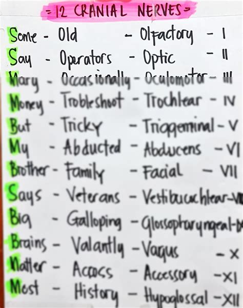 SOLUTION: 12 cranial nerves mnemonic - Studypool
