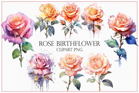 Rose Birthflower Clipart Graphic by Mehtap Aybastı · Creative Fabrica