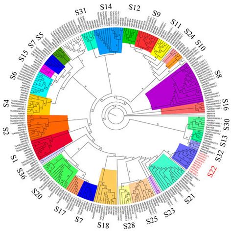 Identification of R2R3-MYB Gene Family and Functional Analysis of ...