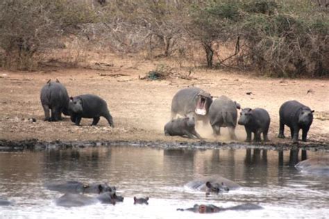 Mbombela Photos - Featured Images of Mbombela, Mpumalanga - Tripadvisor