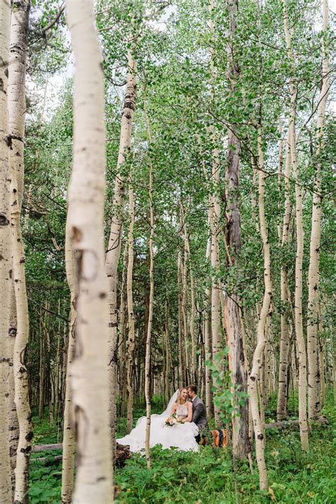 Windy Point Campground Wedding | Mercedes + Kain