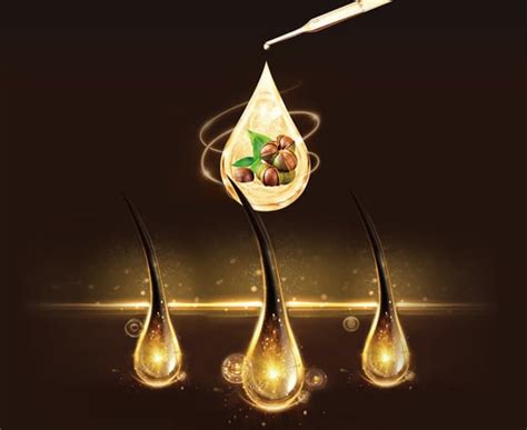 Camellia Seed Cake Extract Supports Hair Growth by Abrogating the ...