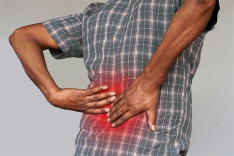Pharmacy professor promotes kidney assessment that provides accurate ...