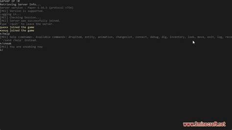 Image result for Console Client Minecraft Tutorial