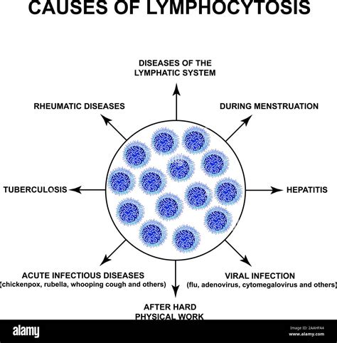 How To Increase Lymphocytes