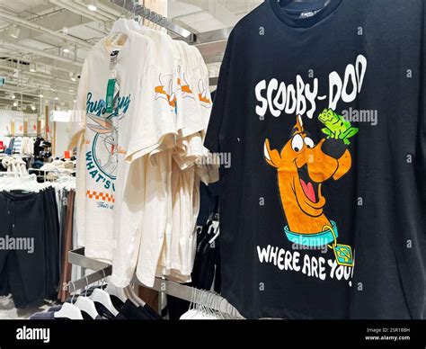 Lviv, Ukraine - February 13, 2025: Brightly colored t-shirts with ...