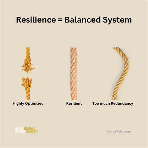 For many, resilience is the opposite of efficiency. Not for me. In my ...