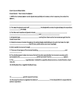 Endocrine System Crash Course 的图像结果