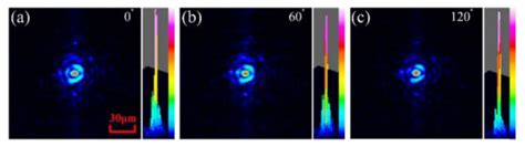 All-In-Focus Polarimetric Imaging Based on an Integrated Plenoptic ...