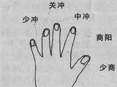 左手手掌对应的五脏图,左手掌对应五六腑图,手掌对应五六腑图_大山谷图库