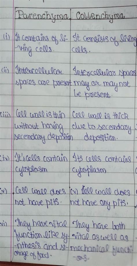 Write the differences between parenchyma and collenchyma - Brainly.in