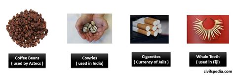 Is Shells an Example of Commodity Money 的图像结果