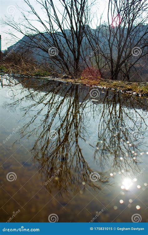Image result for Water Reflection Spring