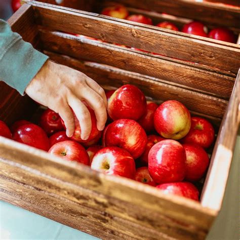 Eructos constantes después de comer: causas y soluciones