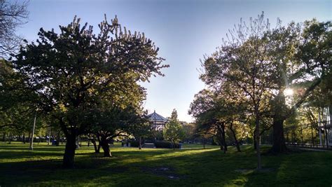 Welles Park Tree Walk, Welles Park, Chicago, 22 September 2024 ...