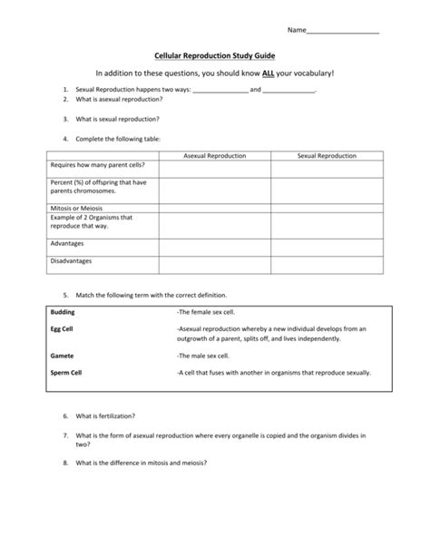 Module 3 Study Guide 的图像结果