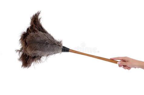 Using Feather Duster 的图像结果