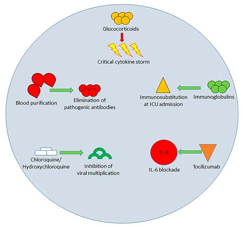 Immunopathology of SARS-CoV-2 Infection: Immune Cells and Mediators ...