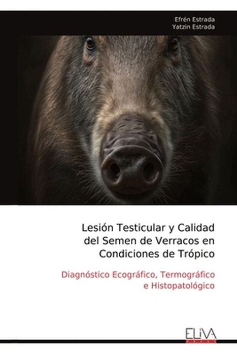 Lesión Testicular y Calidad del Semen de Verracos en Condiciones de ...
