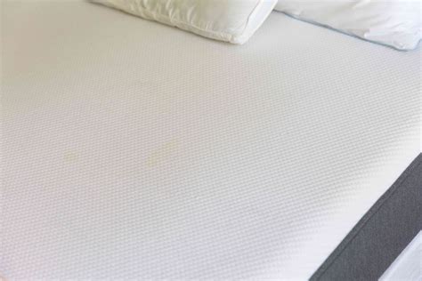 How to Get the Pee Smell Out of a Mattress