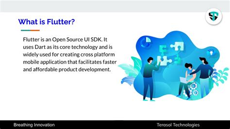 Image result for Flutter Introduction