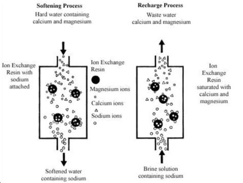 describe ion exchange method for removal of hardness of water - Brainly.in