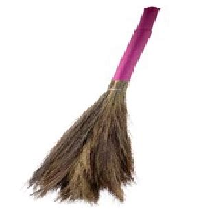 Broom (Grass/Soft) • Benir e-Store Solutions