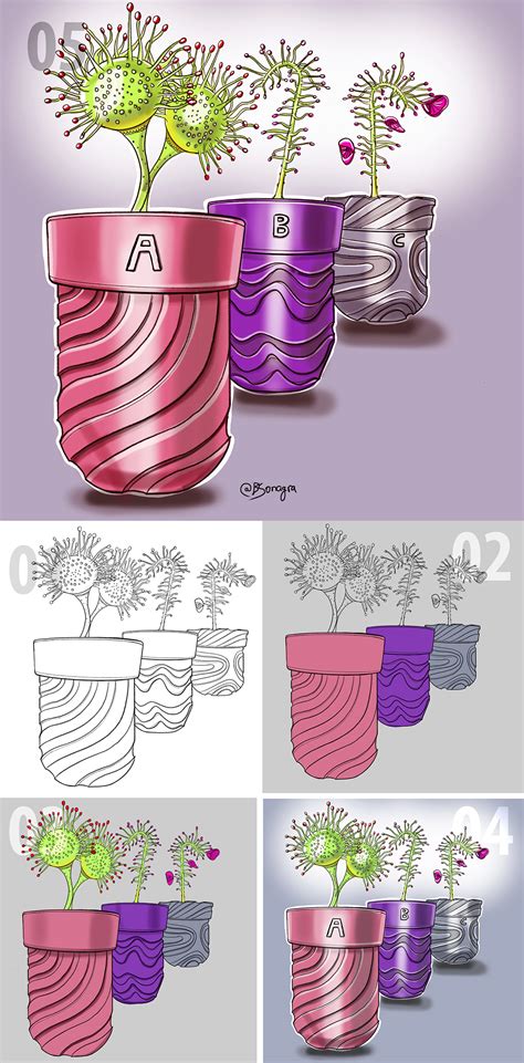 Image result for Sketch Design Tutorial