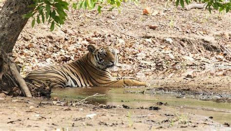 Things To Do In Chitrakoot In 2026 For An Enjoyable Trip