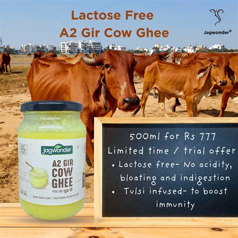Jagwonder A2 Gir Cow Ghee 500ml, Lactose free and tulsi infused for ba