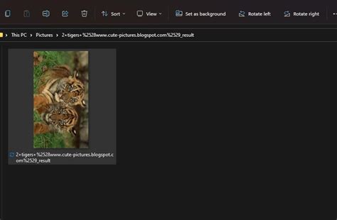 Image result for Rotate Taskbar