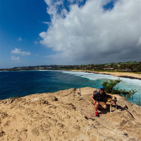 KAUAI HUMANE SOCIETY (Lihue) - Qué SABER antes de ir (2026)