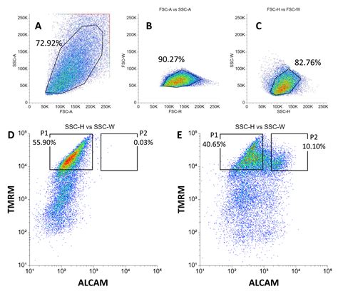 Image result for Cell Sorting Staining Protocol