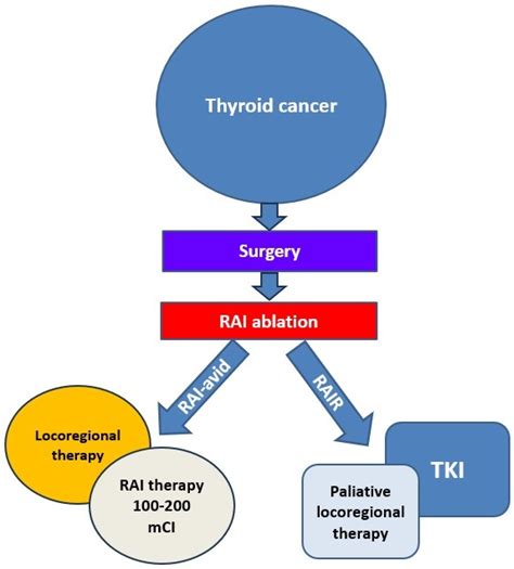 Pathogenesis and Management Strategies in Radioiodine-Refractory ...
